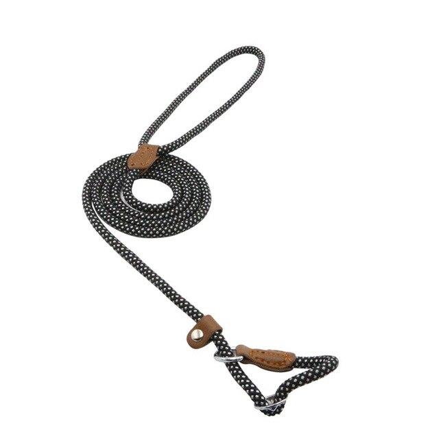 Nylon Dog Collar & Leash Set – Durable & Adjustable for All Sizes