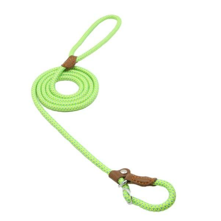 Nylon Dog Collar & Leash Set – Durable & Adjustable for All Sizes