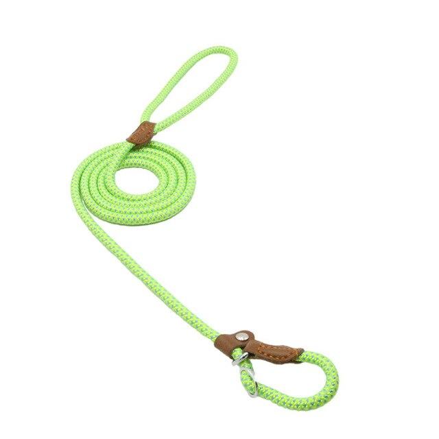 Nylon Dog Collar & Leash Set – Durable & Adjustable for All Sizes