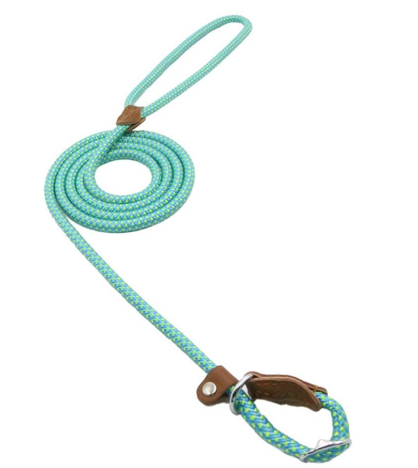 Nylon Dog Collar & Leash Set – Durable & Adjustable for All Sizes