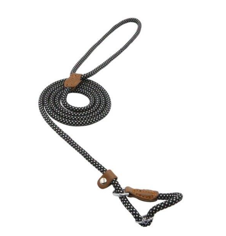Nylon Dog Collar & Leash Set – Durable & Adjustable for All Sizes