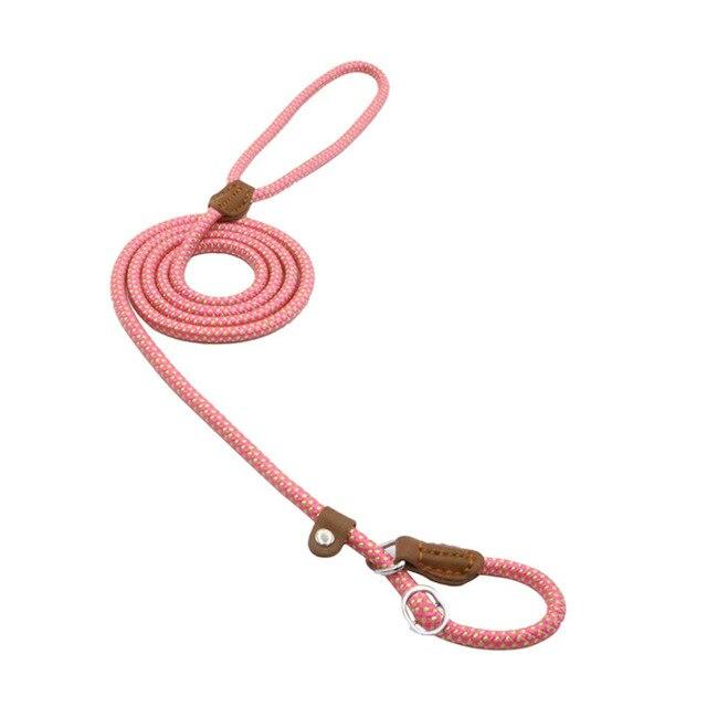 Nylon Dog Collar & Leash Set – Durable & Adjustable for All Sizes