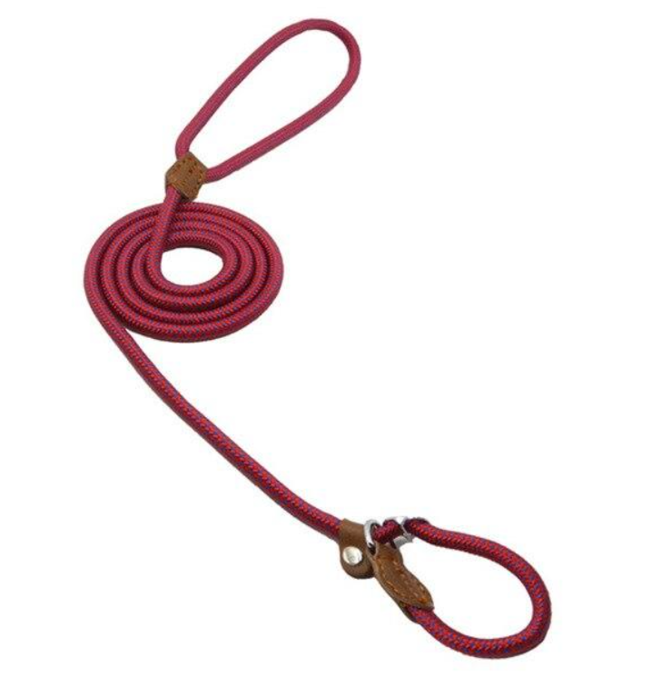 Nylon Dog Collar & Leash Set – Durable & Adjustable for All Sizes