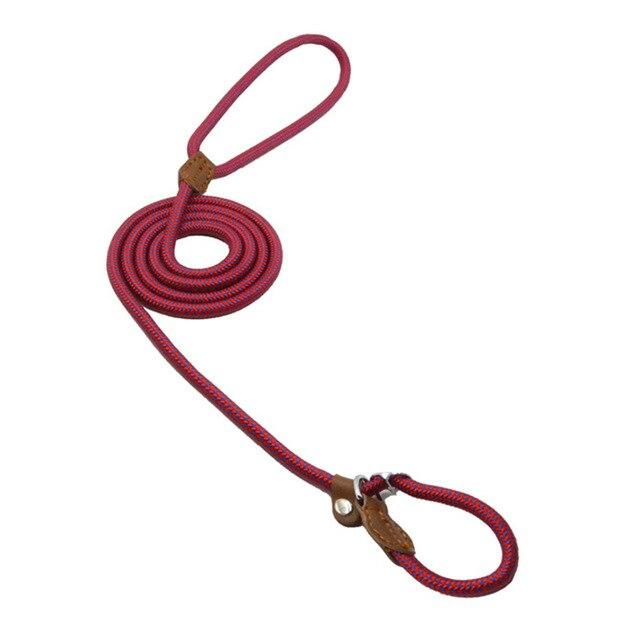 Nylon Dog Collar & Leash Set – Durable & Adjustable for All Sizes