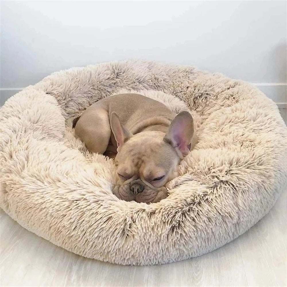 Dog sleeping on a fluffy beige pet bed against a white background