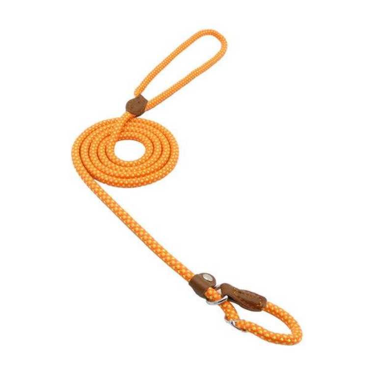 Nylon Dog Collar & Leash Set – Durable & Adjustable for All Sizes