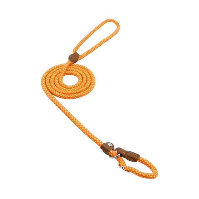 Nylon Dog Collar & Leash Set – Durable & Adjustable for All Sizes