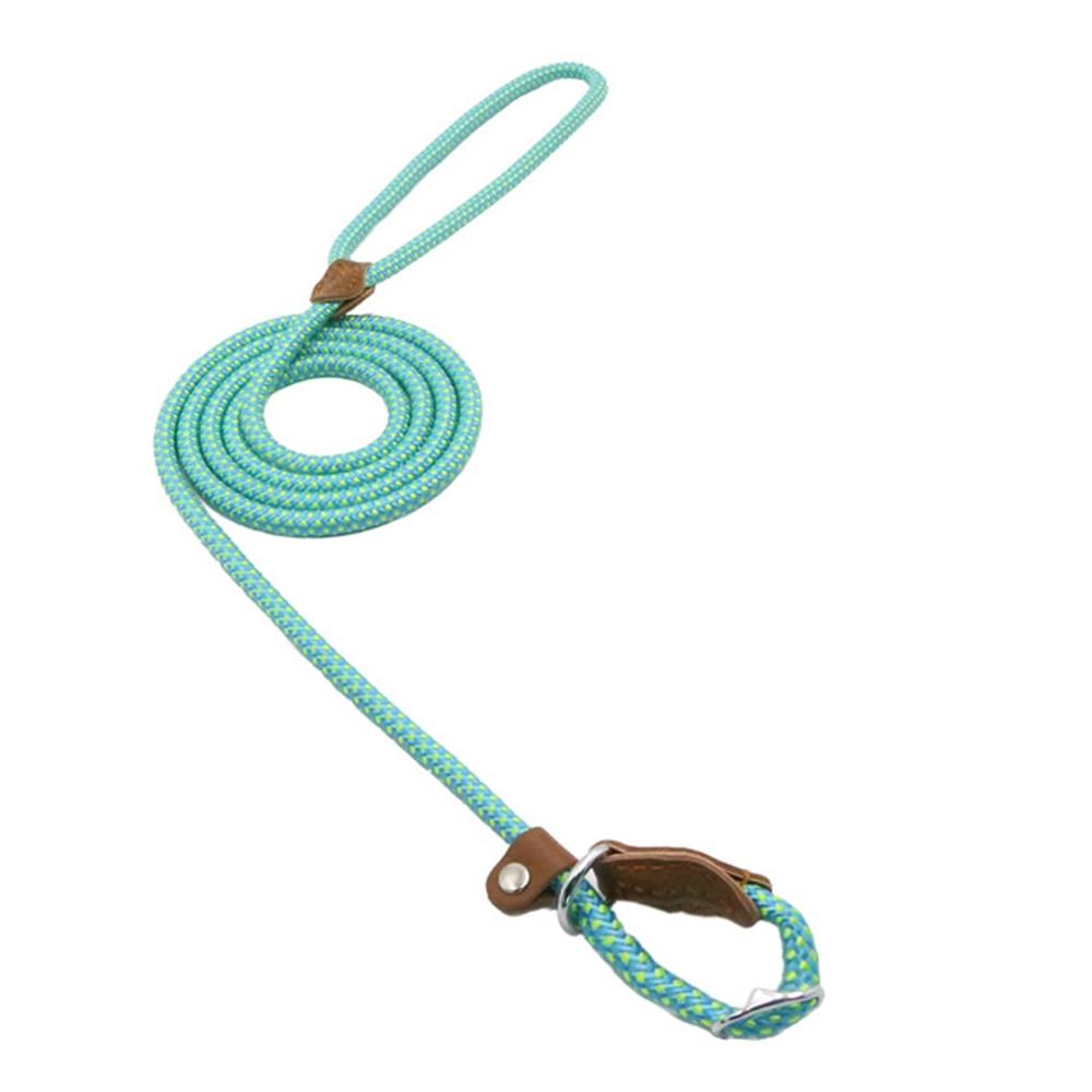 Nylon Dog Collar & Leash Set – Durable & Adjustable for All Sizes
