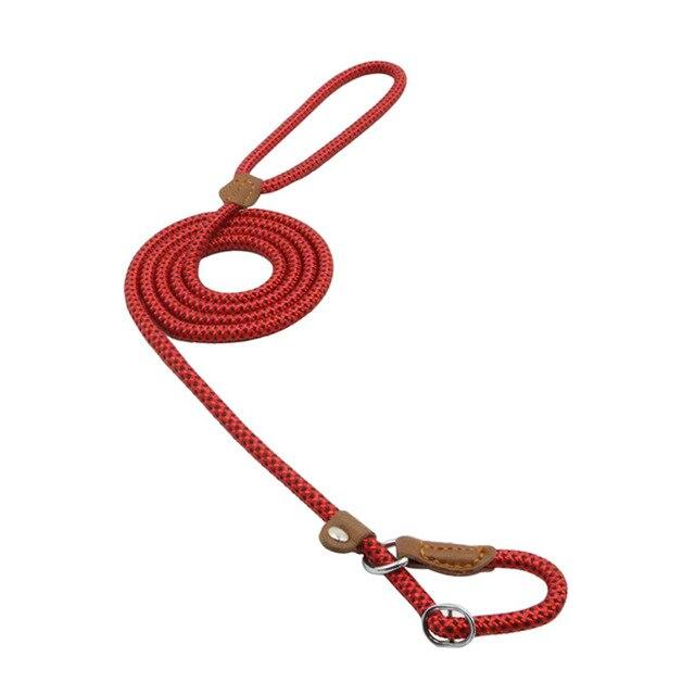 Nylon Dog Collar & Leash Set – Durable & Adjustable for All Sizes