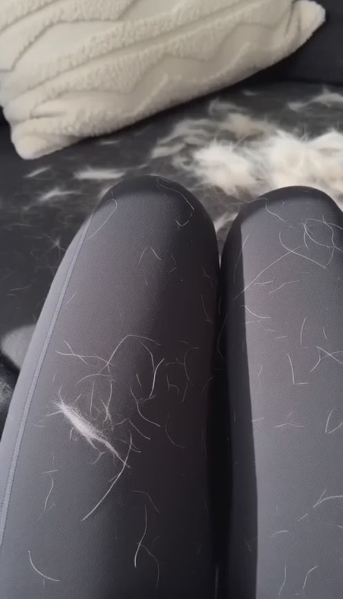 CoatGlide™ Self-Cleaning Pet Brush for Dogs & Cats